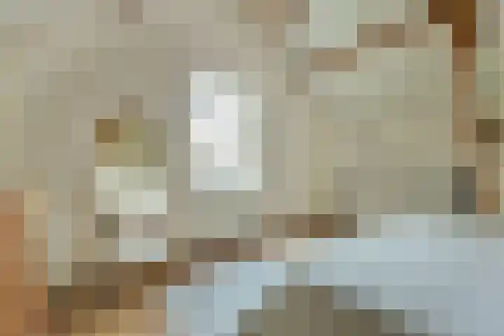 Buitenkade 1 Hank thumbnail 48