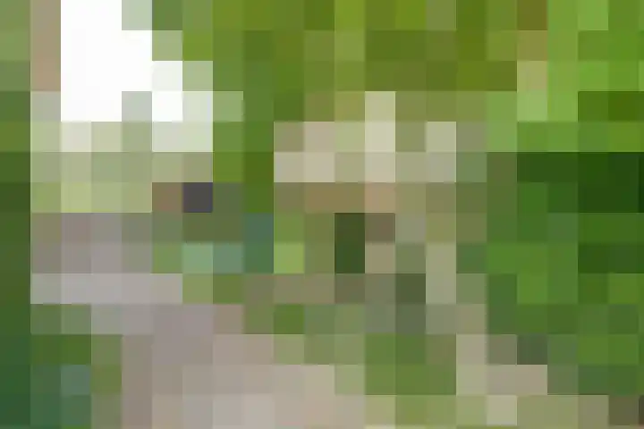 Buitenkade 1 Hank thumbnail 50
