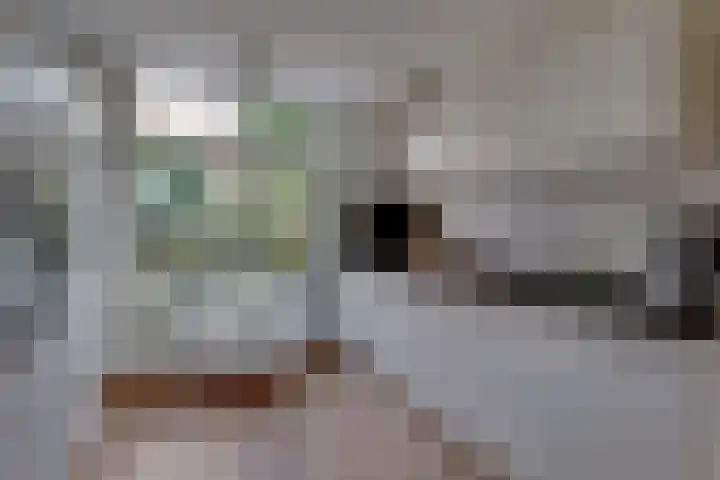 Buitenkade 5 Kampen thumbnail 15