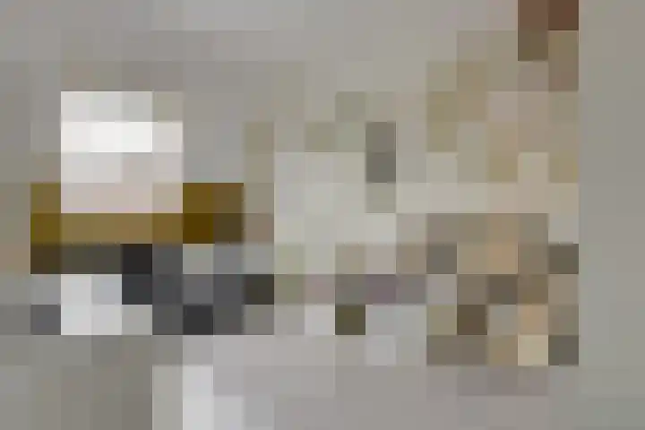 Buitenkruier 65 Stompetoren thumbnail 21