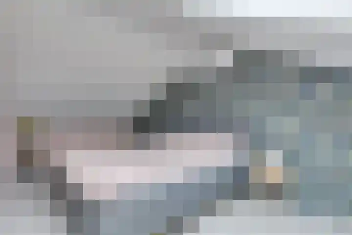 Buitenkruier 65 Stompetoren thumbnail 37