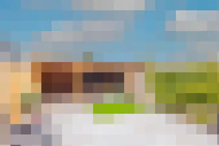 Buitenkruier 65 Stompetoren thumbnail 40