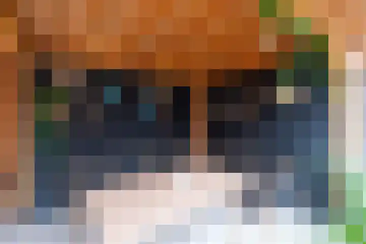 Buitenkruier 65 Stompetoren thumbnail 42
