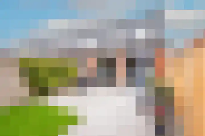 Buitenkruier 65 Stompetoren thumbnail 45