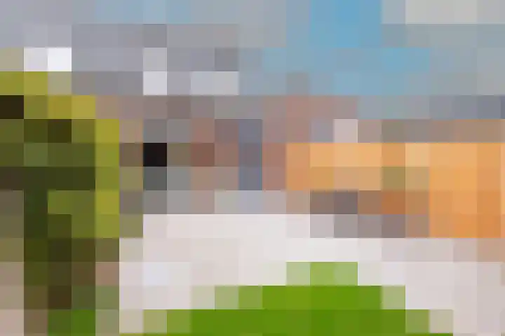 Buitenkruier 65 Stompetoren thumbnail 46