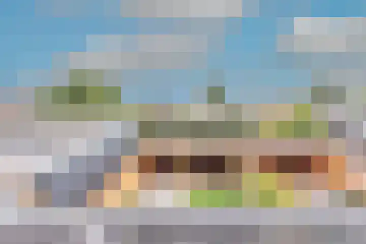 Buitenkruier 65 Stompetoren thumbnail 47