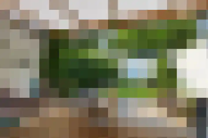 Buitenmolen 9 Zevenaar thumbnail 16