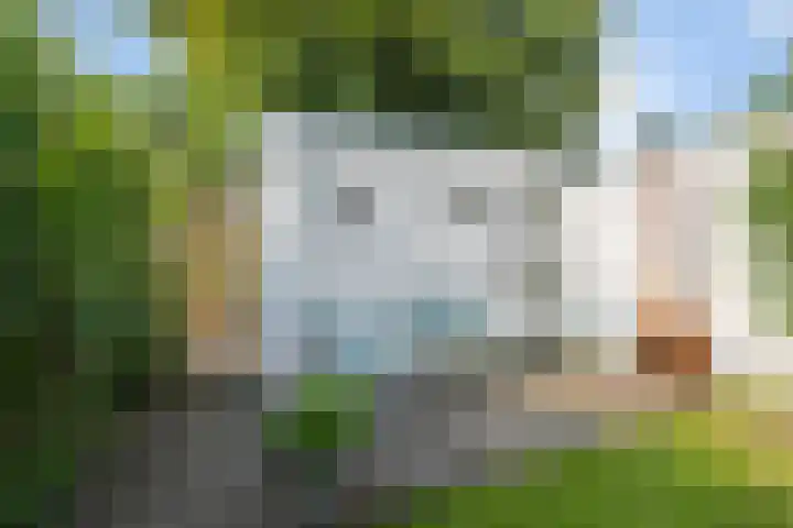 Buitenmolen 9 Zevenaar thumbnail 18