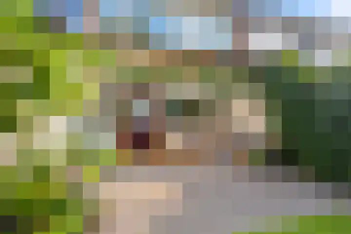 Buitenmolen 9 Zevenaar thumbnail 19