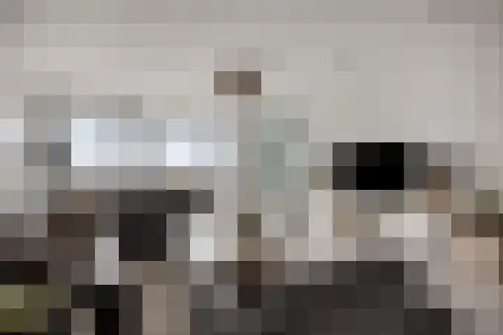 Buitenom 131 Zoetermeer thumbnail 10
