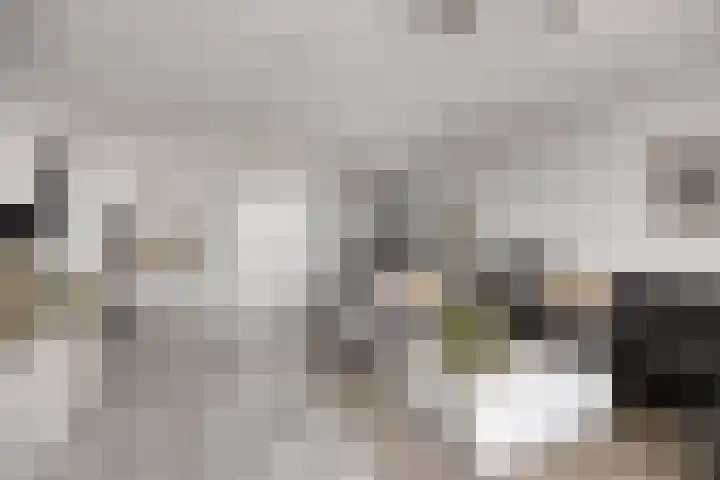 Buitenom 131 Zoetermeer thumbnail 11