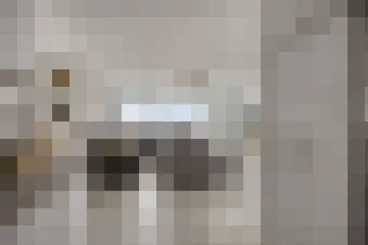 Buitenom 131 Zoetermeer thumbnail 14