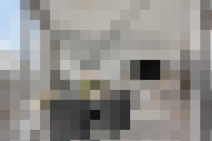 Buitenom 131 Zoetermeer thumbnail 16