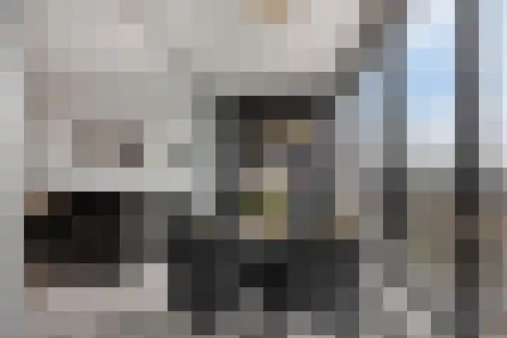 Buitenom 131 Zoetermeer thumbnail 17