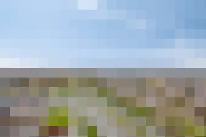 Buitenom 131 Zoetermeer thumbnail 20