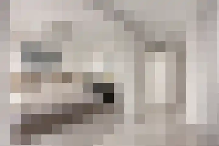 Buitenom 131 Zoetermeer thumbnail 24