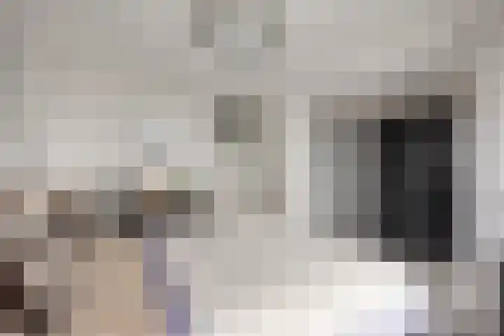 Buitenom 131 Zoetermeer thumbnail 26