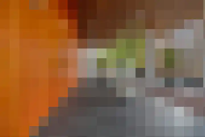 Buitenom 131 Zoetermeer thumbnail 32