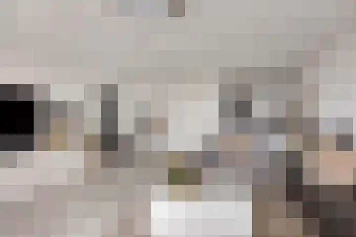 Buitenom 131 Zoetermeer thumbnail 5