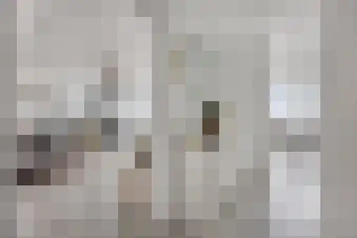 Buitenom 131 Zoetermeer thumbnail 8