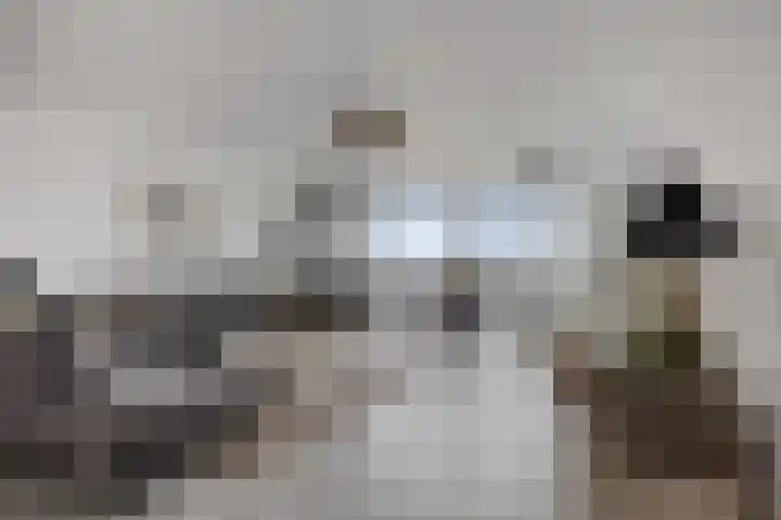 Buitenom 131 Zoetermeer thumbnail 9