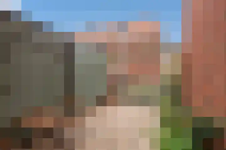 Buitenom 226 Den Haag thumbnail 14