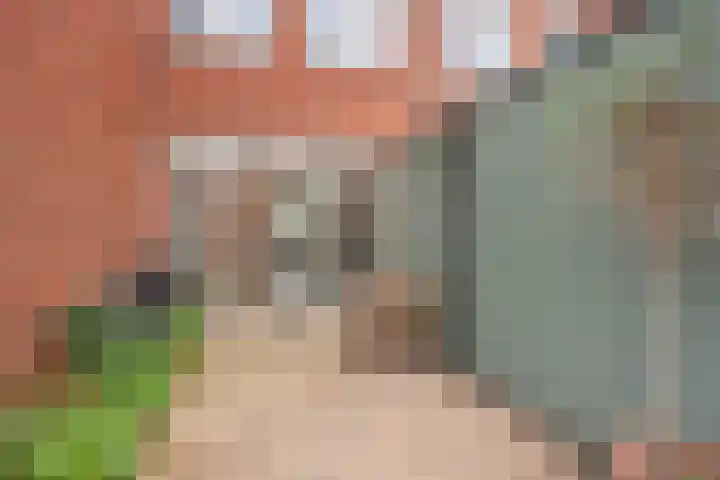 Buitenom 226 Den Haag thumbnail 18