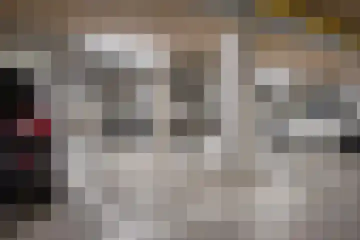 Buitenom 226 Den Haag thumbnail 43