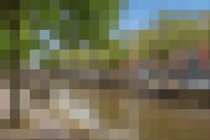 Buitenom 226 Den Haag thumbnail 45