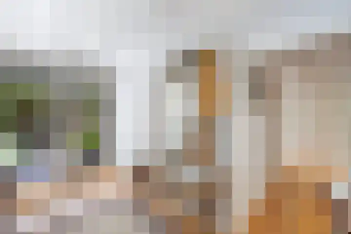 Buitenom 7 Bant thumbnail 21