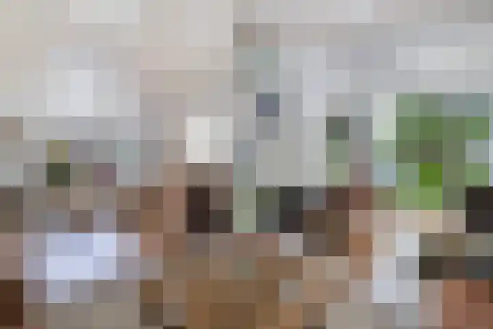 Buitenom 7 Bant thumbnail 24