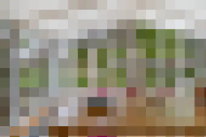 Buitenom 7 Bant thumbnail 28