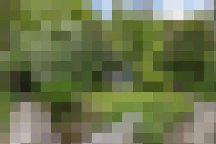 Buitenom 7 Bant thumbnail 54