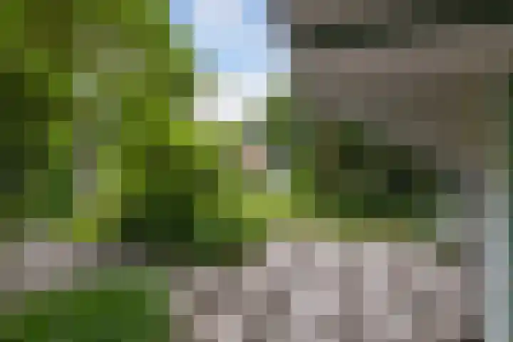 Buitenom 7 Bant thumbnail 55