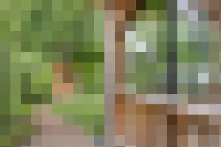 Buitenplaats 10 Dronten thumbnail 18