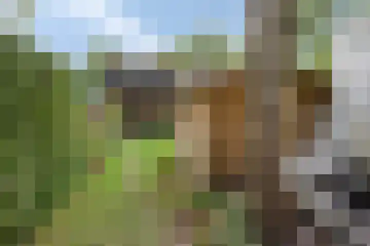 Buitenplaats 10 Dronten thumbnail 32