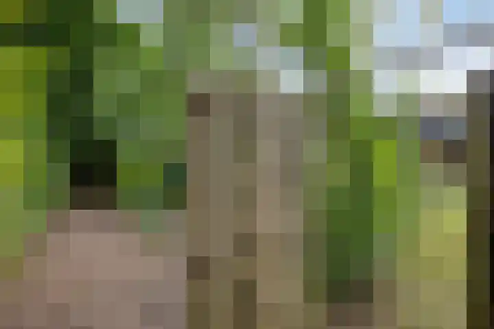 Buitenplaats 10 Dronten thumbnail 34