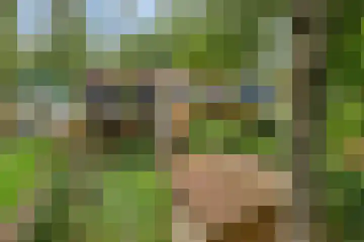 Buitenplaats 10 Dronten thumbnail 36