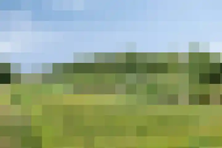 Buitenplaats 10 Dronten thumbnail 38