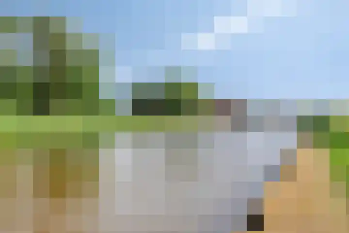 Buitenplaats 10 Dronten thumbnail 39