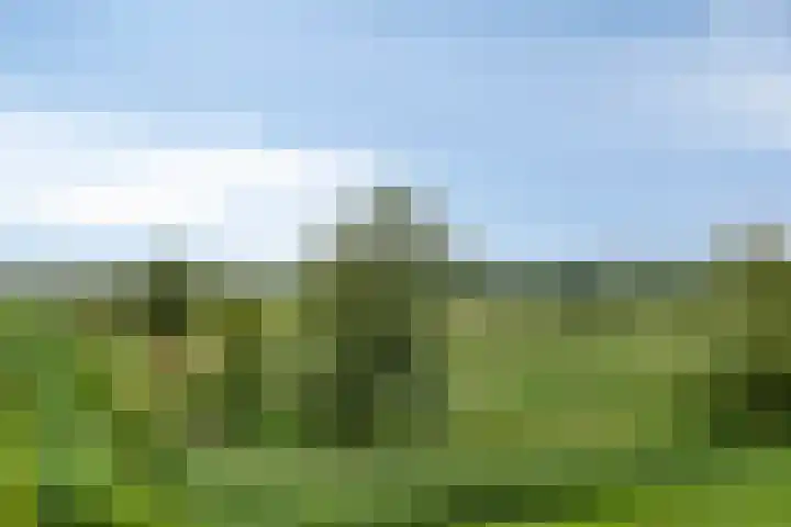 Buitenplaats 10 Dronten thumbnail 41