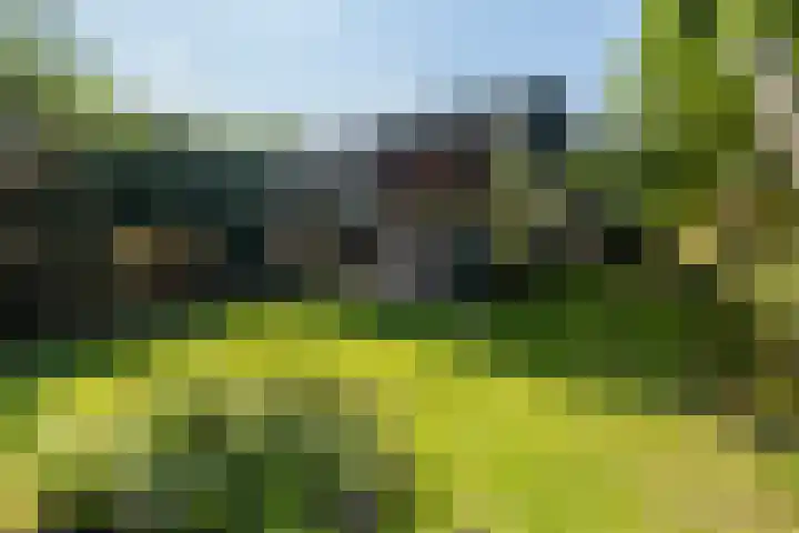 Buitenplaats 105 Dronten thumbnail 18