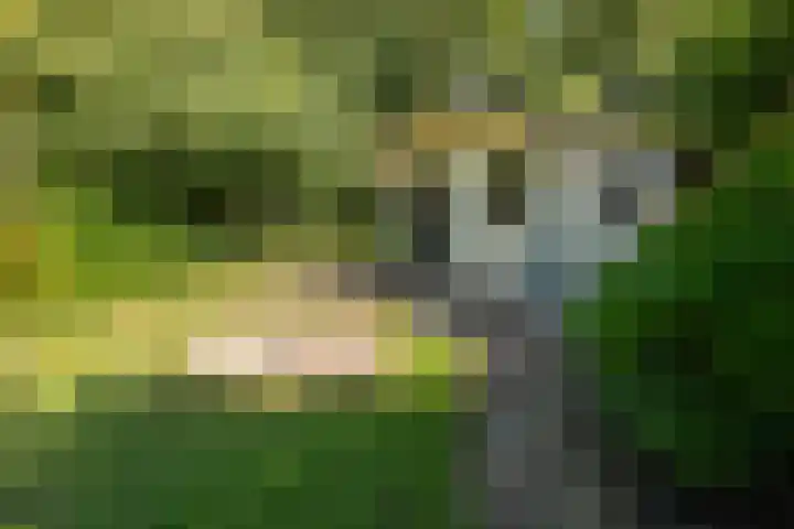 Buitenplaats 105 Dronten thumbnail 22