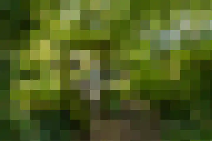 Buitenplaats 105 Dronten thumbnail 23