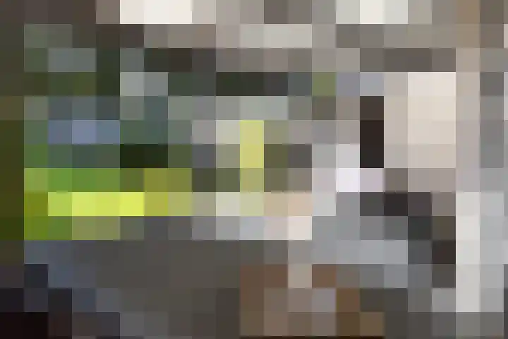 Buitenplaats 15 Dronten thumbnail 23
