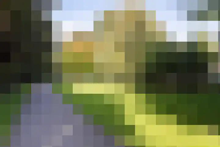 Buitenplaats 15 Dronten thumbnail 30
