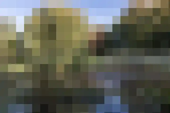 Buitenplaats 15 Dronten thumbnail 31