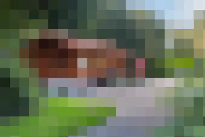 Buitenplaats 15 Dronten thumbnail 32
