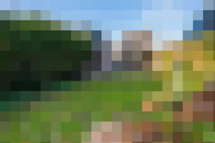 Buitenplaats 32 Dronten thumbnail 14