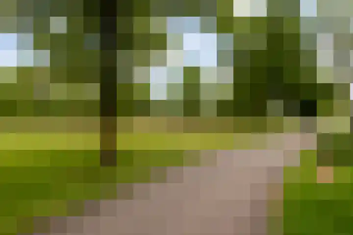 Buitenplaats 38 Dronten thumbnail 20